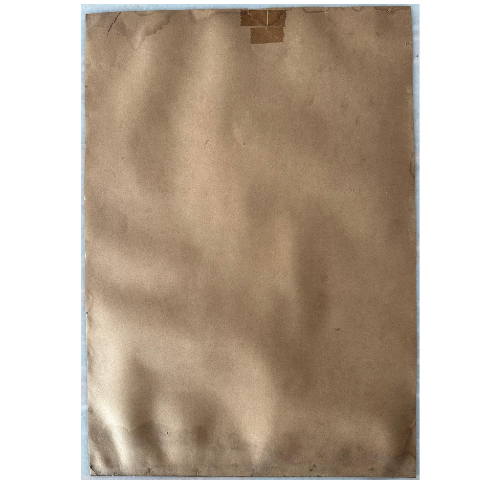 Shri Bala Subramanya 2