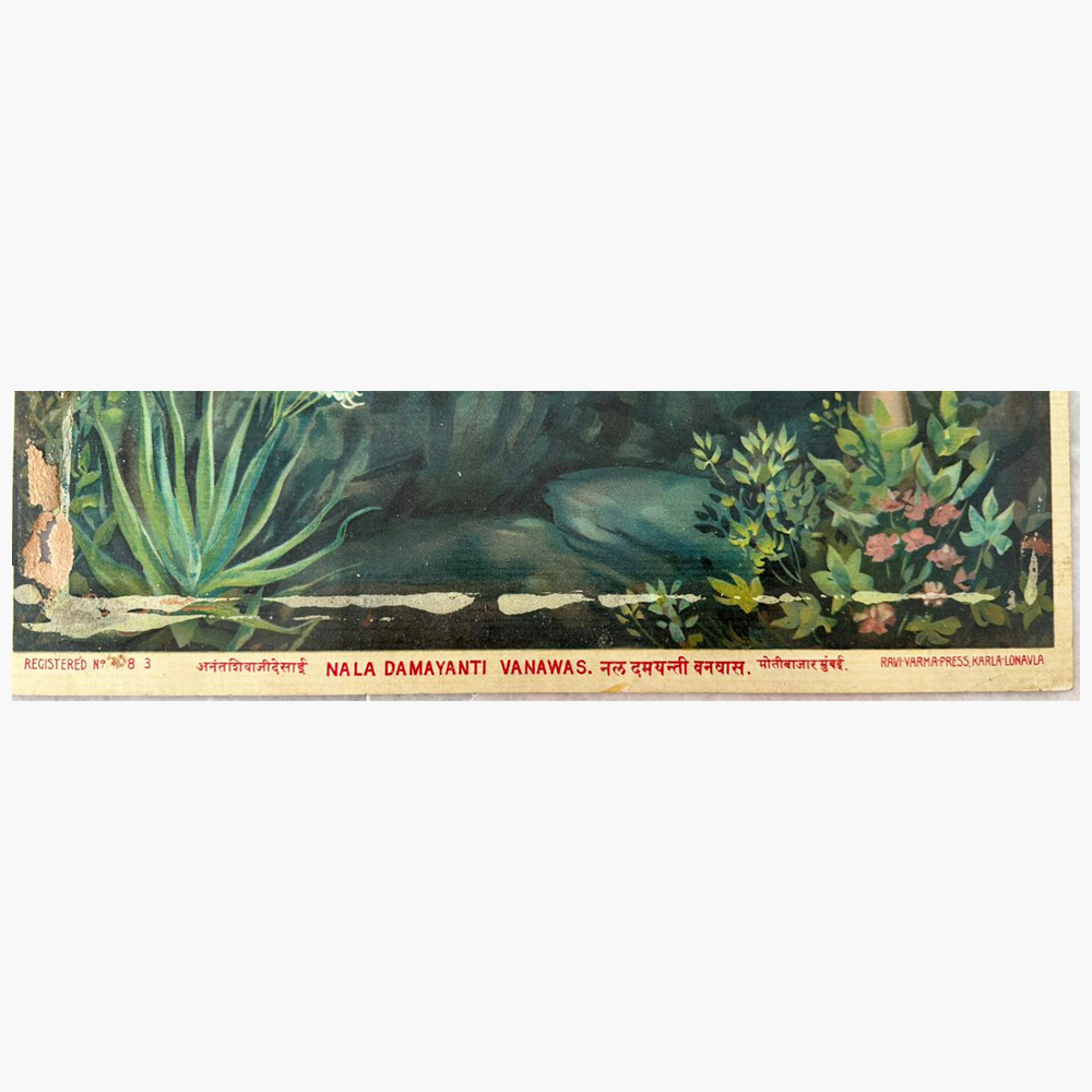 Nala Damyanti Vanvas 1